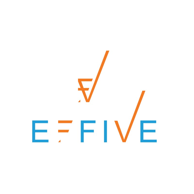 Effive India Pvt. Ltd. Effive India Pvt. Ltd.